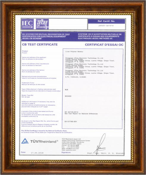 IEC62133